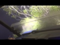 Crashing the Rail